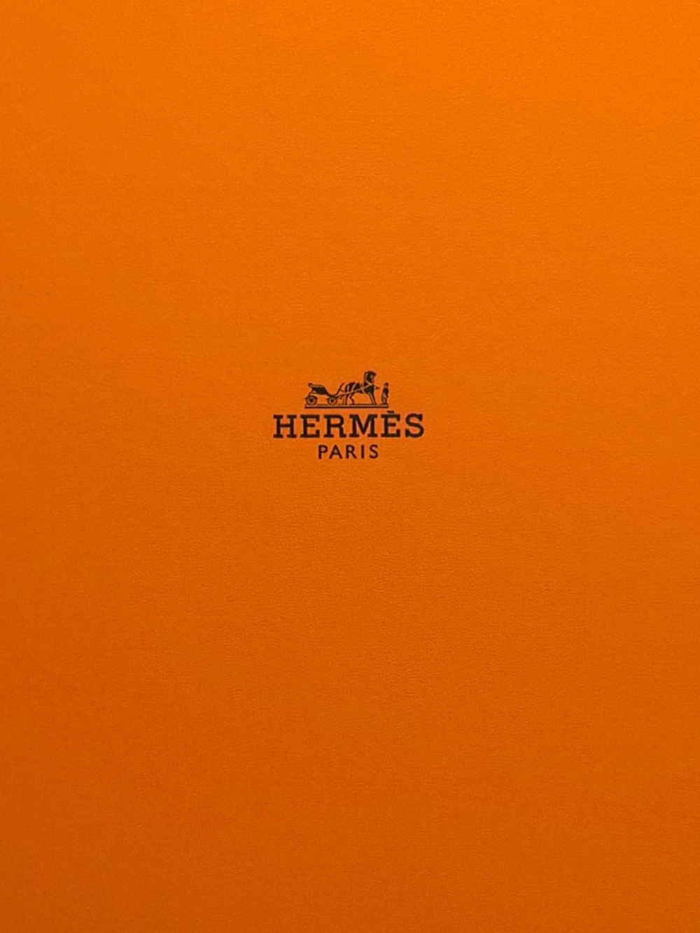 Hermès Constance Elan Gold Epsom Leather Palladium Hardware | Rare Re-Edition